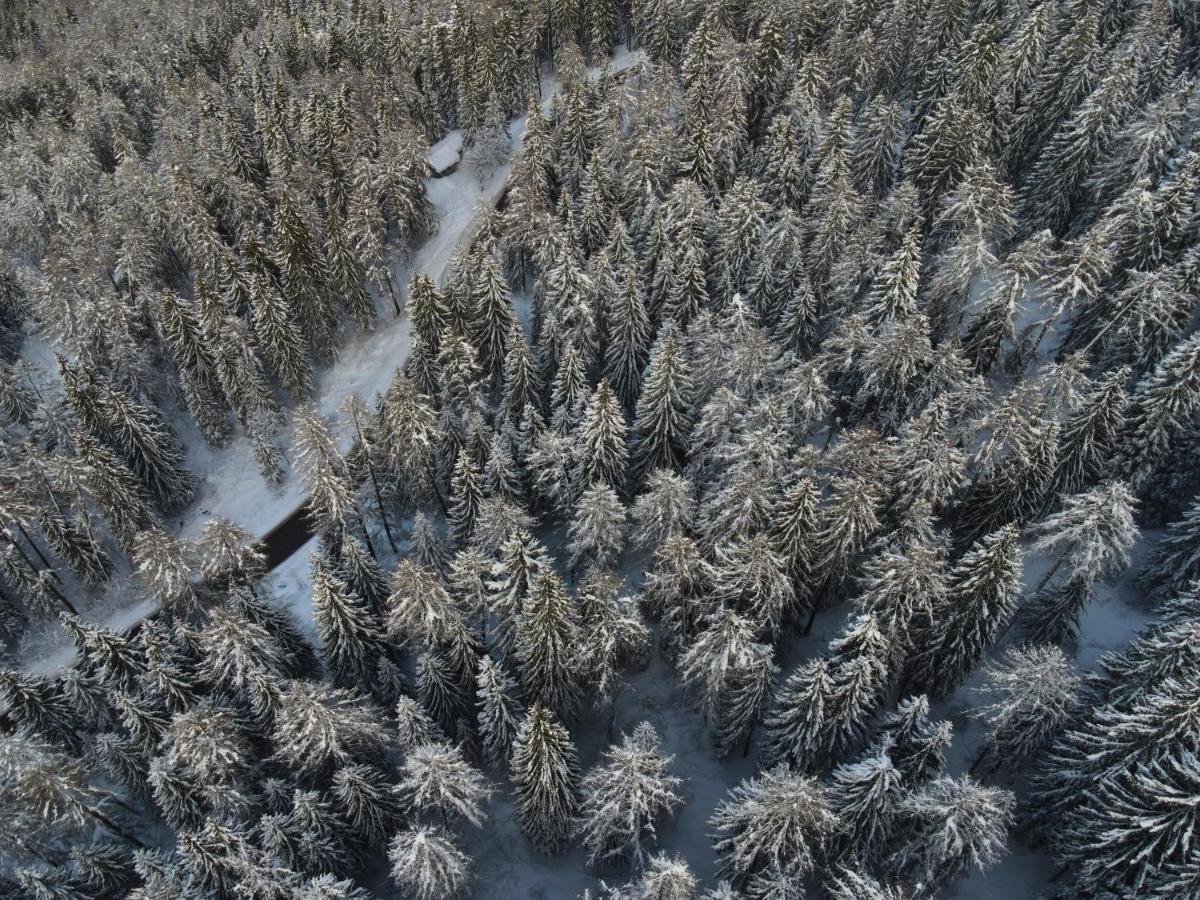 Casa Del Roccolo Leilighet Folgarida Eksteriør bilde